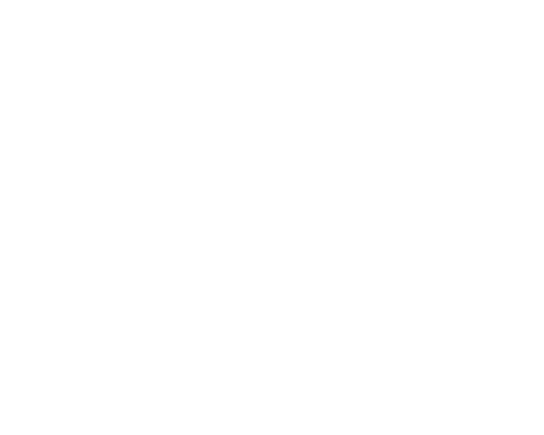 Atraccion y seleccion del talento